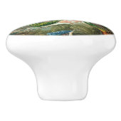 12 amerikaanse vochtige vogelrassen , getekend keramische knop (Zijkant)