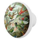 12 amerikaanse vochtige vogelrassen , getekend keramische knop (Rechts)