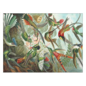 12 amerikaanse vochtige vogelrassen , getekend tafelkleed (Voorkant (Horizontaal))