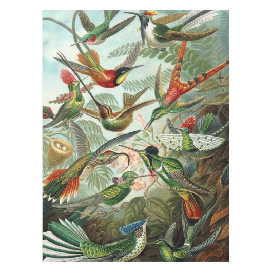 12 amerikaanse vochtige vogelrassen , getekend tafelkleed (Voorkant)