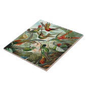 12 amerikaanse vochtige vogelrassen , getekend tegeltje (Zijkant)