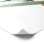 12 Antiek vogelafdrukken. Poster (Hoek)