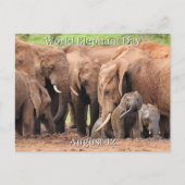 12 augustus: Wereld Olifant Dag Feestdagenkaart (Voorkant)