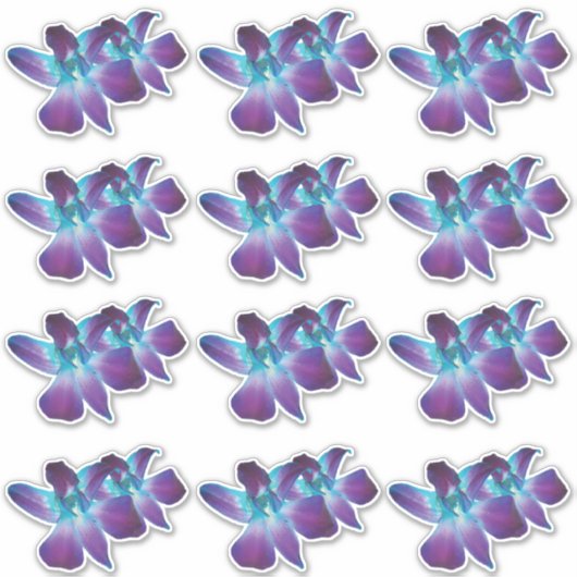 12 Blauwe Dendrobium Orchidee Bloem Kiss-Cut Stick Sticker (Voorkant)