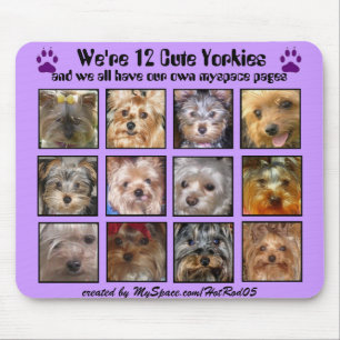 12 CUTE YORKIES - Mousepad Gepersonaliseerd Muismat