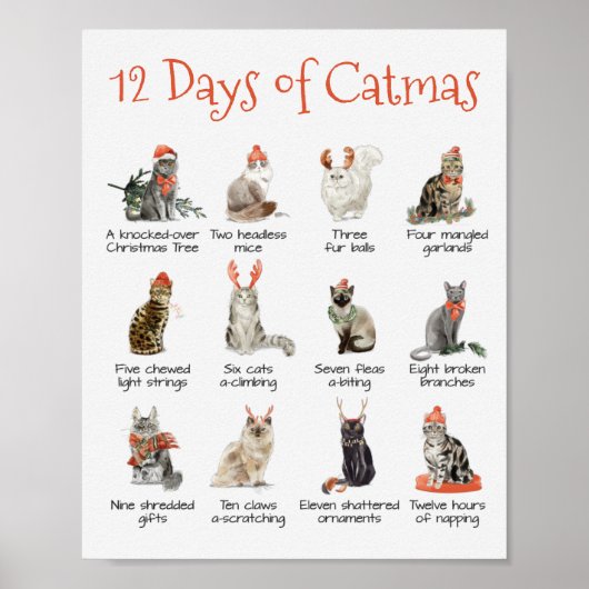 12 dagen Catmas kerstcadeaudruk poster (Voorkant)