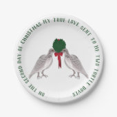 12 dagen kerstmis twee schildpadden papieren bordje (Voorkant)