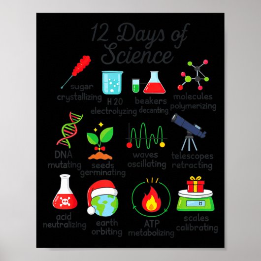 12 Days Of Science Funny Science Teacher Christmas Poster (Voorkant)