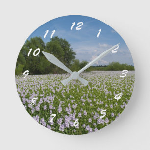 12 de Keuzen van het aantal om van Schilderachtig Ronde Klok