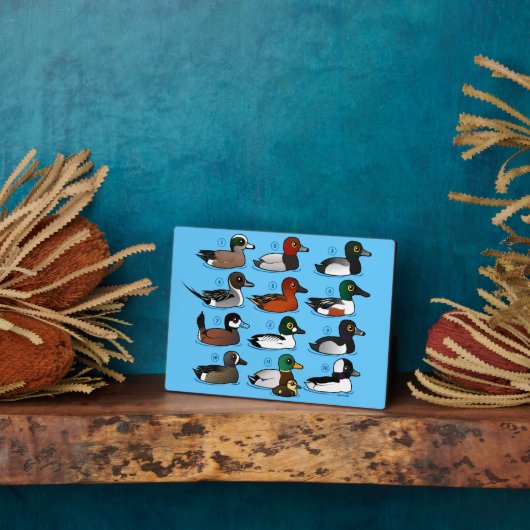 12 Eenden Fotoplaat (Zijkant)