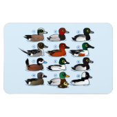 12 Eenden Magneet (Horizontaal)