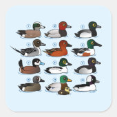 12 Eenden Vierkante Sticker (Voorkant)