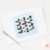 12 Eenden Vierkante Sticker (Envelop)