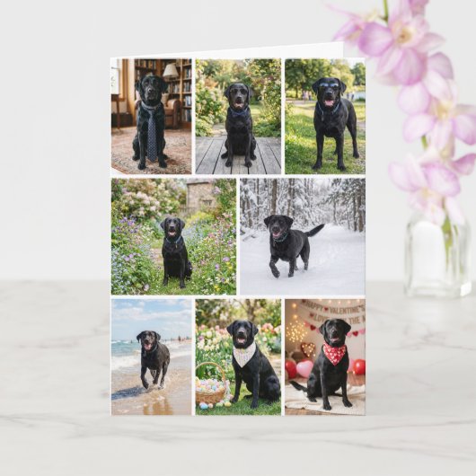 12 Foto Collage Persoonlijk Aangepast Kaart (Orchidee)