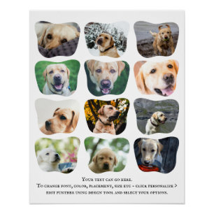 12 Fotocollage en unieke tekst gepersonaliseerd Perfect Poster