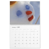 12 frameable foto's - Agenda 2011 #3 Kalender (Jan 2027)
