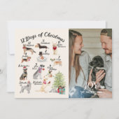 12 Honden van kerstfeestelijke fotokaart Kaart (Voorkant)