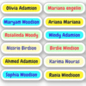 12 ID lange waterdichte etiketten | Achternaam Sti Sticker (Voorkant)