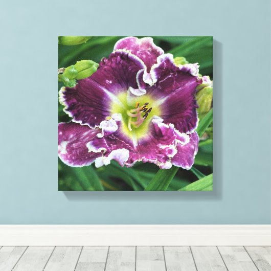 12-inch x12-inch Daylily Canvas Afdruk (Insitu (Houten vloer))