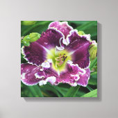 12-inch x12-inch Daylily Canvas Afdruk (Voorkant)