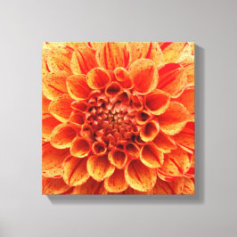12-inch x 12-inch bekabeld canvas - Oranje ventila