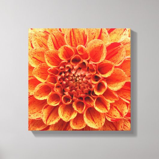 12-inch x 12-inch bekabeld canvas - Oranje ventila (Voorkant)