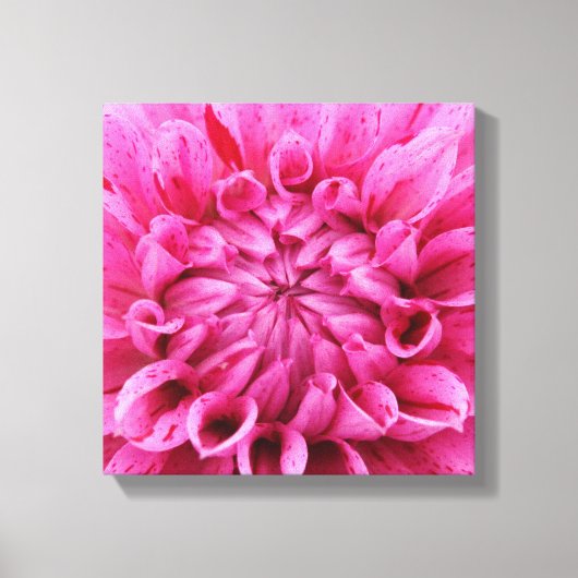 12-inch x 12-inch bekabeld canvas - roze ventilato (Voorkant)
