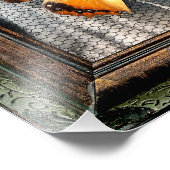 12 inch x 12 inch Black-Bordered Charaxes Butterfl Foto Afdruk (Hoek)