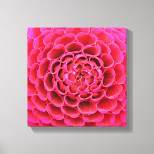12-inch x 12-inch Wrapped Canvas - Hot-roze ventil (Voorkant)