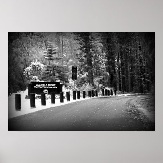 12-inch x 18-inch Poster afdrukken - Wa'ahila Ridg (Voorkant)