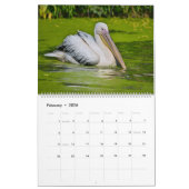 12 kalendermaanden pelikanen kalender (Feb 2026)