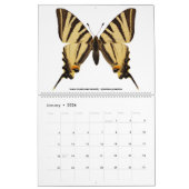 12 kalendermaanden verschillende vlinders kalender (Jan 2026)