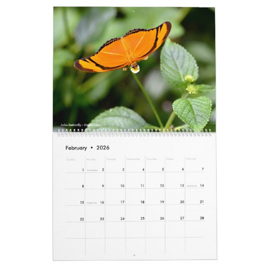 12 kalendermaanden verschillende vlinders kalender (Feb 2026)