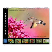 12 kalendermaanden verschillende vlinders kalender (Hoes)
