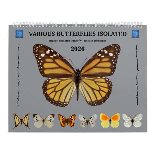 12 kalendermaanden verschillende vlinders kalender (Hoes)