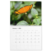 12 kalendermaanden verschillende vlinders kalender (Feb 2026)