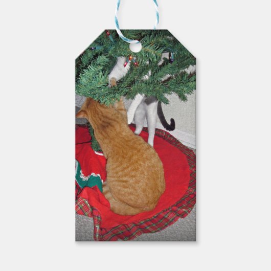 12 Kat a-klimmen Cadeaulabel (Voorkant)