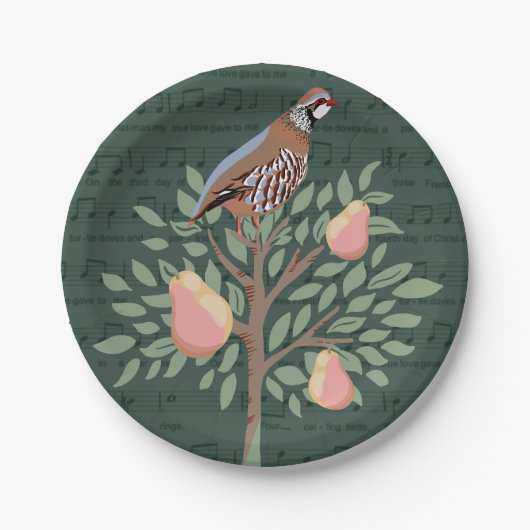 12 kerstdagen papieren bordje (Voorkant)