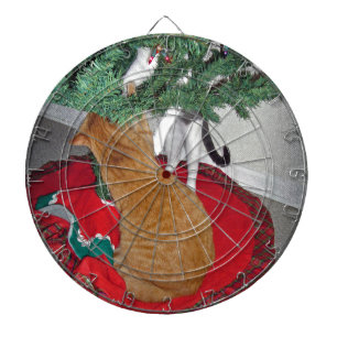 12 Kooien Dartbord