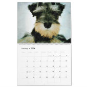 12 Maand Schattige Schnauzer Dogs Waterverf Art Kalender (Jan 2026)
