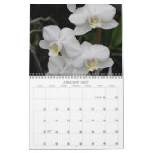 12-maandelijkse kalender (Jan 2027)