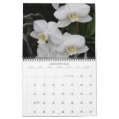 12-maandelijkse kalender (Jan 2026)