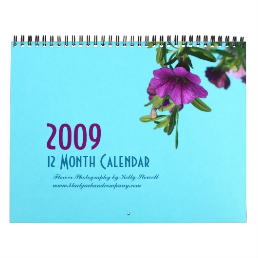 12-maandelijkse kalender (Hoes)
