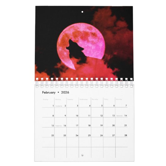 12-maandelijkse kalender (Feb 2026)