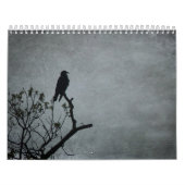 12-maandelijkse kalender (Hoes)