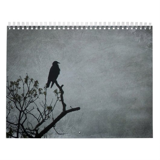 12-maandelijkse kalender (Hoes)