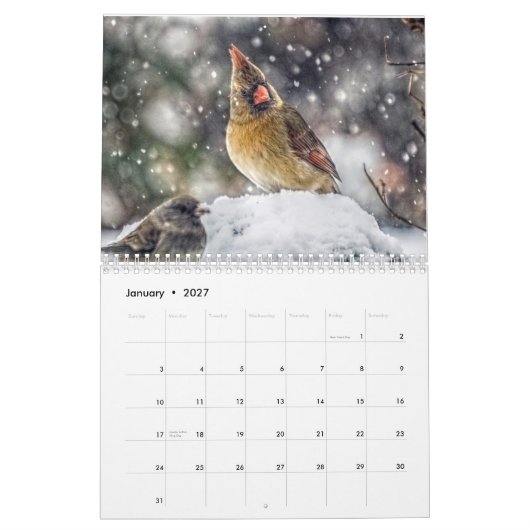 12-maandelijkse kalender (Jan 2027)