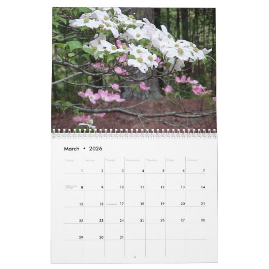 12-maandelijkse kalender (Mar 2026)