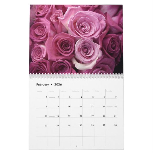 12-maandelijkse kalender (Feb 2026)