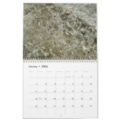 12 maanden Abstracte fotografie, 2e editie Kalender (Jan 2026)